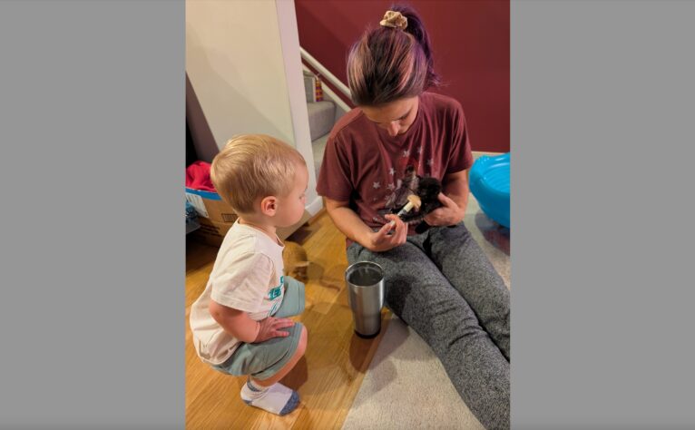 Justin and Elizabethany